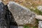 Loughcrew Cairns Historic Passage Tomb Relic near Oldcastle, County Meath, Ireland, Europe