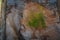 Loughcrew megalithic stone pattern