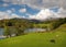 Loughrigg Tarn, Cumbria