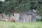 Louisiana Abandoned Shed