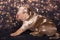 Louisiana Catahoula Leopard Dog puppy portrait on holiday background