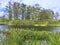 Louisiana Cypress Swamp and river