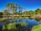 Louisiana Marsh pond