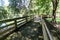 Louisiana Swamp Boardwalk