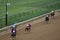 LOUISVILLE, KENTUCKY - APRIL 28, 2021: Horses race down the final stretch in a claiming race at Churchill Downs on Apr 28, 2021 in