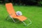 lounge sunbed standing on green grass