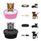 Lounger for a pet, clipping of claws in a vet clinic, lying dog, puppy with a ball. Vet clinic and pet,dog care set