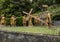 Lourdes, France, June 24 2019: Way of the Cross of Jesus, fragment of the third station