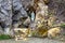 The Lourdesgrotte  Lourdes Grotto in Heiligenkreuz