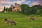 Lourmarin, Provence, France: landscape at dawn of the countryside with the ancient castle