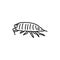 Louse black line icon.