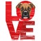 Love Boxer