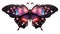 Love Butterfly png. Valentine\\\'s Day concept. Love and Romance clipart. Hearts on wings.