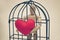 Love in cage
