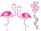 Love card with flamingos vector - Valentines day card