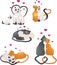 Love cats