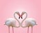 Love concept shape heart of couple flamingo on pink background