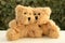 Love couple fluffy Teddy bears Vegetation background