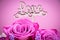 Love, creative pink rose flowers on a pink background and Word Love. Love concept