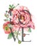 Love design. Valentines Day Greeting card. watercolor rose flowers illustration.