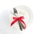 Love dinner setting fork and spoon tie with red ribbon on plate