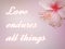 Love endures all things, quote on pink background with a hibiscus at the corner.