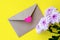 Love envelope with pink chrysanthemum flowers with pink heart