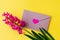 Love envelope and pink hyacinth flowers with pink heart