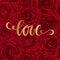 Love. Hand drawn brush pen lettering on background flower red rose. design holiday greeting card and invitation of wedding, Happy