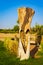 A love or heart shape carved wooden standee at Love Lake Al Qudra Dubai.