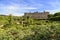 The Love Labyrinth Rose Garden at Longleat House in Wiltshire