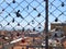 Love locks in front of the city of Lisbon in Portugal