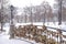 Love locks on a park bridge fence