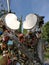 Love locks sculpture in Vancouver`s Queen Elizabeth Park