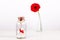 Love message in a bottle. Roll of white paper with red thread and red gerbera flower on a white background. Saint