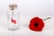 Love message in a bottle. Roll of white paper with red thread and red gerbera flower on a white background. Saint