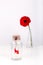 Love message in a bottle. Roll of white paper with red thread and red gerbera flower on a white background. Saint