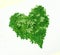 Love moringa leaves