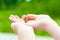 Love the nature. Girl hands holding a small butterfly.