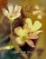 Love never fails - Inspirational verse with flowers background