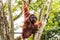 We love Orang Utans