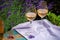 Love Provence, romantic picnic with glasses of cold French rose wine and purple lavender flowers in sunny summer garden