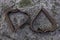 Love on the rocks - railway spikes on lichen-covered rocks