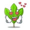 In love sassafras leaf in the mascot pots