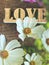 Love sign on vintage wooden background and white flower foreground