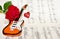 Love song with guitar and rose