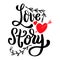 Love story. Lettering phrase isolated on white background. Design element for poster, card, banner.