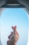 Love symbol of korean with your fingers cross. A female hand depicts a heart in front of window of airplane