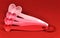 Love theme pink and red heart shape measuring spoons