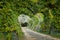 The love tunnel in the Botanical Garden of Craiova